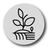 Foundational Agricultural Skills Transfer Solutions